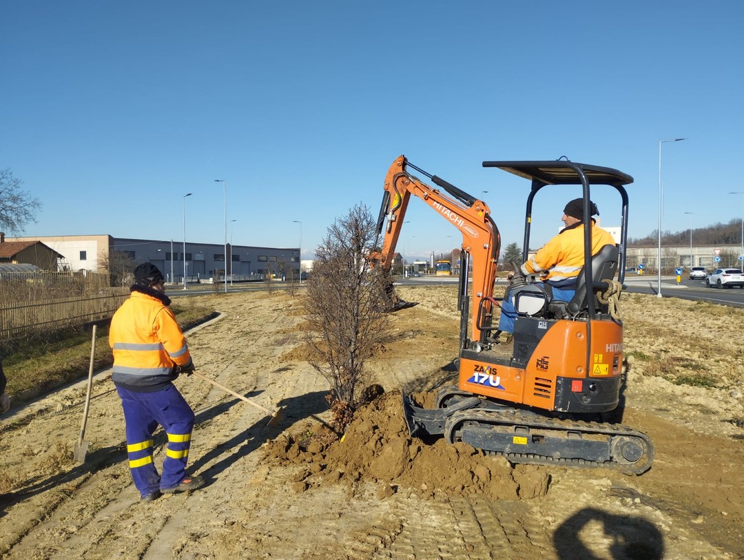 verde-urbano_piantumazione-carpini.jpg - {verde-urbano_piantumazione-carpini.jpg} - [66406]