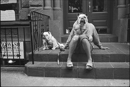 Immagine Elliott Erwitt foto mostra.jpg - {Immagine Elliott Erwitt foto mostra.jpg} - [66583]