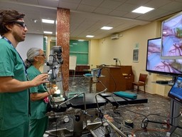 Esoscopio Neurochirurgia.jpeg - {Esoscopio Neurochirurgia.jpeg} - [67962]