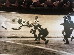 Una iconica meta di Marco Bollesan nello stadio a lui intitolato.jpg - {Una iconica meta di Marco Bollesan nello stadio a lui intitolato.jpg} - [68058]