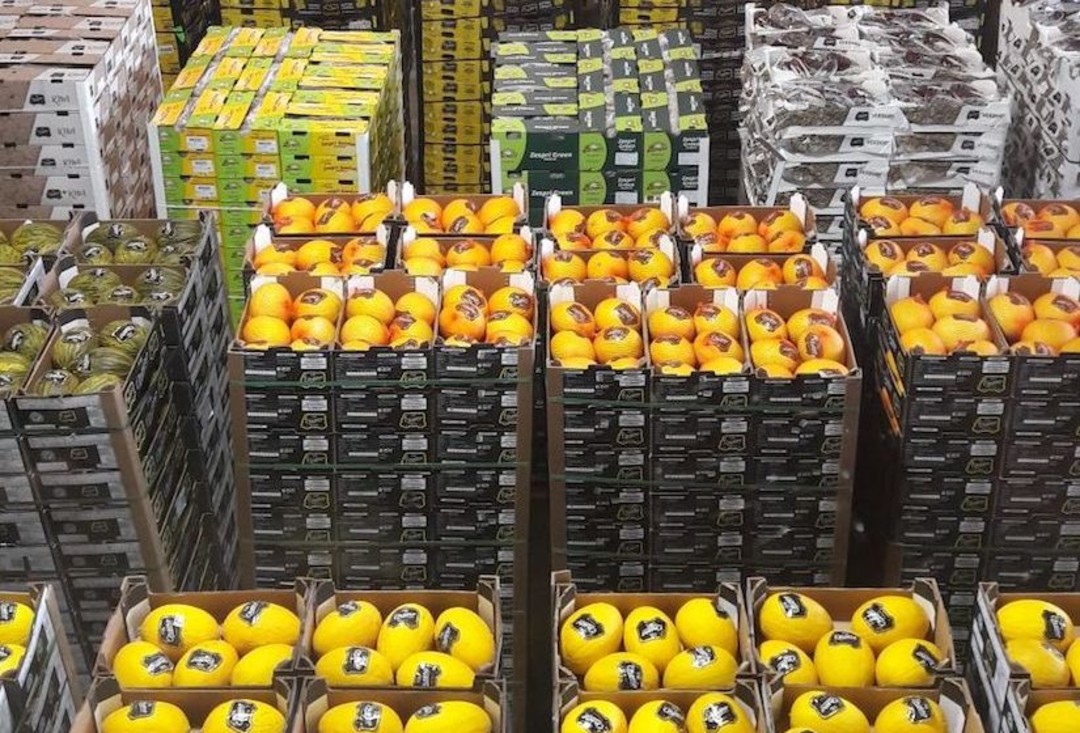 Orsero_frutta-825x560.jpeg - {Orsero_frutta-825x560.jpeg} - [68485]