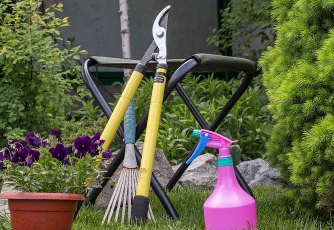 Foto giardinaggio.jpg - {Foto giardinaggio.jpg} - [68661]