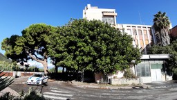 Albenga-ex-ospedale-2.jpeg - {Albenga-ex-ospedale-2.jpeg} - [6928]