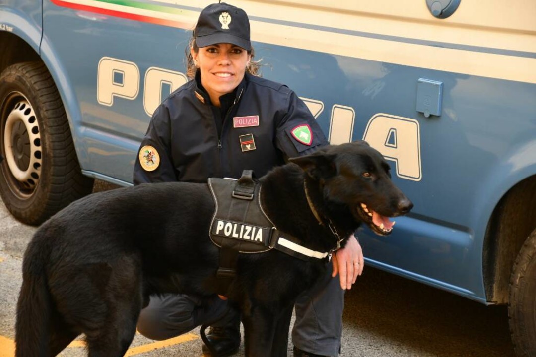 polizia cinofili.jpg - {polizia cinofili.jpg} - [69318]