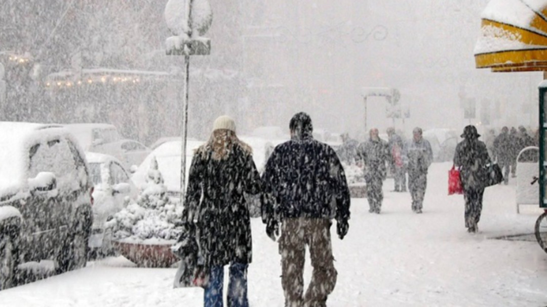 Neve.jpg - {Neve.jpg} - [69686]