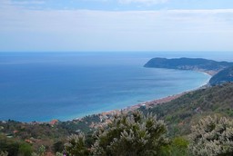 panorama.jpg - {panorama.jpg} - [69710]