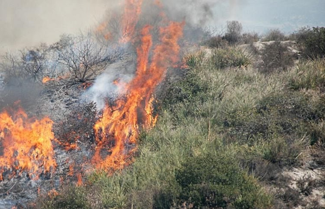 incendio boschivo.jpg - {incendio boschivo.jpg} - [69886]