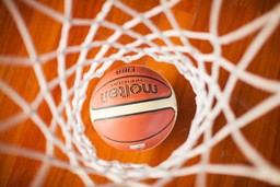 Basket.jpg - {Basket.jpg} - [70948]