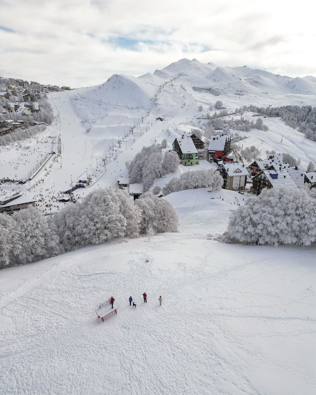 Immagine Prato.jpg - {Immagine Prato.jpg} - [71252]