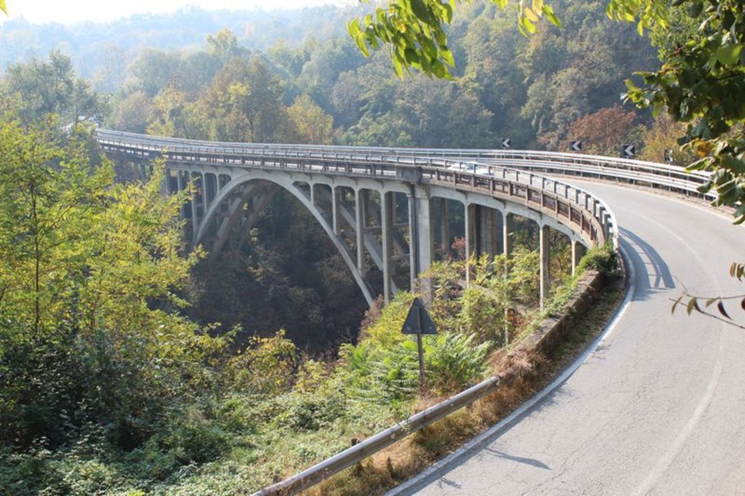 Foto ponte Petri.jpg - {Foto ponte Petri.jpg} - [71492]