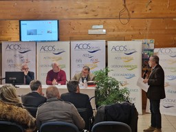 Acos.jpg - {Acos.jpg} - [71532]