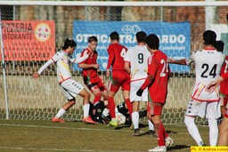 Immagine Bracalcio.jpg - {Immagine Bracalcio.jpg} - [71580]