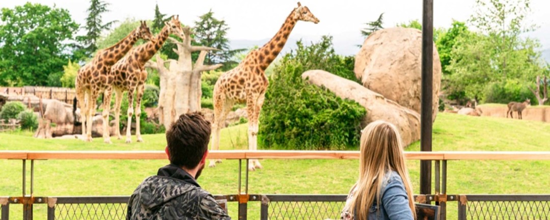 GiraffeZoom.jpeg - {GiraffeZoom.jpeg} - [7288]