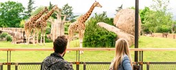 GiraffeZoom.jpeg - {GiraffeZoom.jpeg} - [7288]