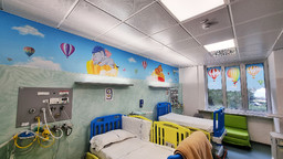 stanza-degenza-mongolfiere-ospedale-gaslini-genova-neurologia-pediatrica-malattie-muscolari-ospedali-dipinti-silvio-irilli-associazione-team-enjoy-1.jpg - {stanza-degenza-mongolfiere-ospedale-gaslini-genova-neurologia-pediatrica-malattie-muscolari-ospedali-dipinti-silvio-irilli-associazione-team-enjoy-1.jpg} - [73621]