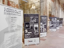 Immagine Mostra Nuto 12.jpg - {Immagine Mostra Nuto 12.jpg} - [74398]