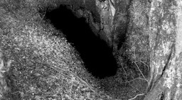 Foibe.jpg - {Foibe.jpg} - [74929]