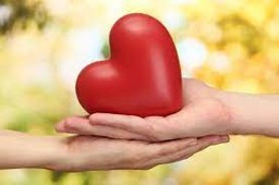 Donazione.jpg - {Donazione.jpg} - [75185]