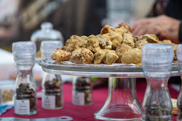 Fiera-Nazionale-del-Tartufo_I-Gioielli-del-Territorio-Asti-11.jpg - {Fiera-Nazionale-del-Tartufo_I-Gioielli-del-Territorio-Asti-11.jpg} - [75745]