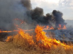 incendio.jpg - {incendio.jpg} - [76290]