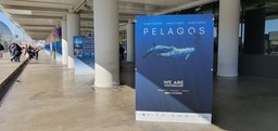20250303_Inaugurazione Mostra Pelagos (4).jpg - {20250303_Inaugurazione Mostra Pelagos (4).jpg} - [76394]