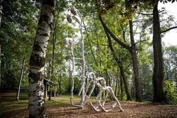 Radis.jpg - {Radis.jpg} - [77227]