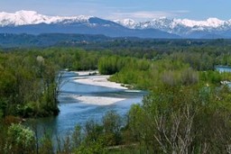 Parco Naturale del Ticino.jpg - {Parco Naturale del Ticino.jpg} - [77757]