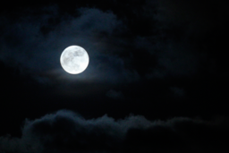Notte.png - {Notte.png} - [77765]