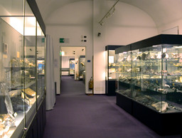 Museo Eusebio Alba.jpg - {Museo Eusebio Alba.jpg} - [77781]