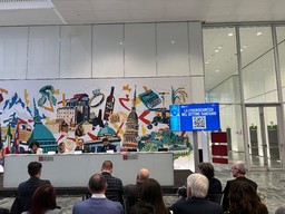 Foto convegno.jpeg - {Foto convegno.jpeg} - [78253]