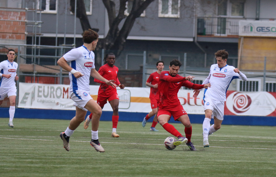 Immagine OLTREPO.jpg - {Immagine OLTREPO.jpg} - [78333]