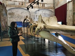 ParcoArcheologicoAstigiano.jpg - {ParcoArcheologicoAstigiano.jpg} - [78477]