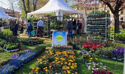 Foto Ortoflora a Carmagnola.jpg - {Foto Ortoflora a Carmagnola.jpg} - [79765]