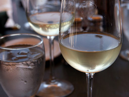 Foto vino.jpg - {Foto vino.jpg} - [81108]