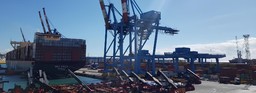terminal di Psa Italy.jpg - {terminal di Psa Italy.jpg} - [81166]