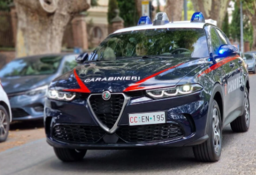 carabinieri.png - {carabinieri.png} - [81294]