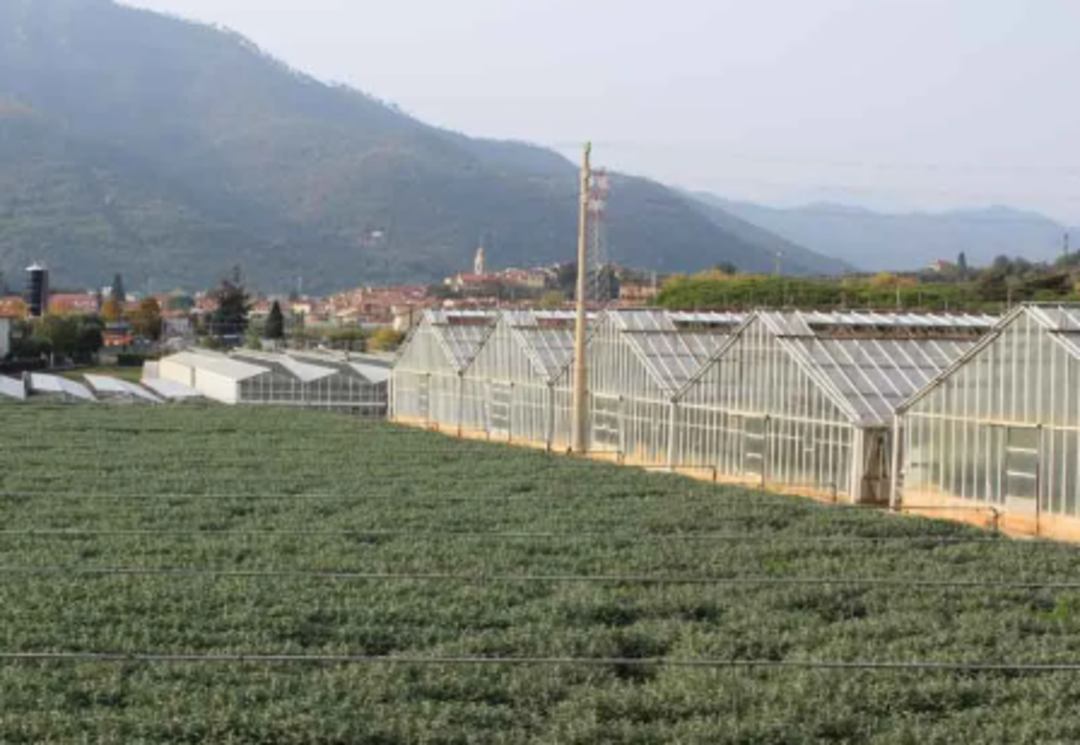 agricoltura.png - {agricoltura.png} - [81334]
