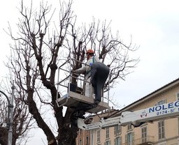 0.jpg - {0.jpg} - [81414]