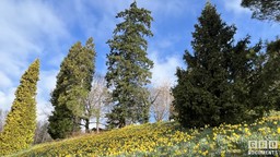 1.jpg - {1.jpg} - [82130]