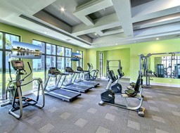 Workout.jpg - {Workout.jpg} - [83044]