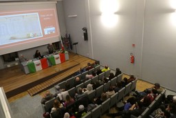 foto.jpg - {foto.jpg} - [83540]