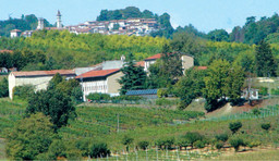 Foto istituto tecnico agrario Luparia.jpg - {Foto istituto tecnico agrario Luparia.jpg} - [83940]