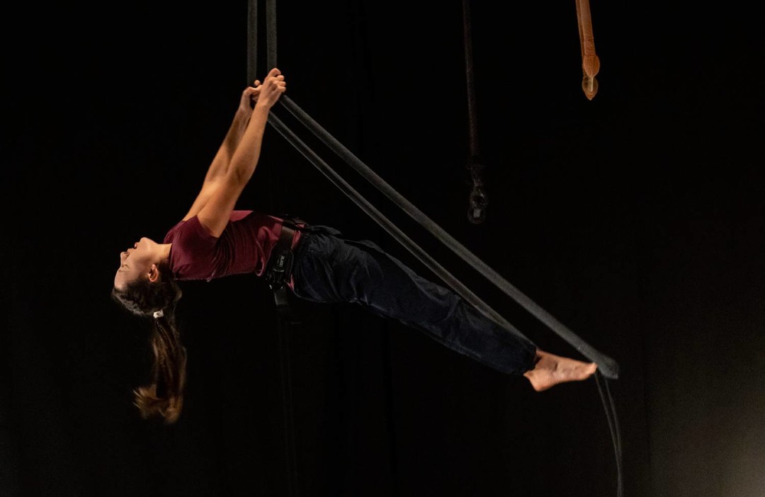 Foto circo aerea.jpg - {Foto circo aerea.jpg} - [84438]