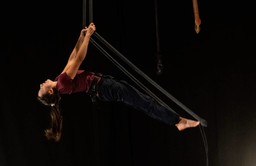 Foto circo aerea.jpg - {Foto circo aerea.jpg} - [84438]