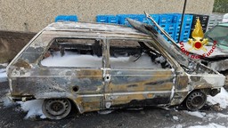 6af8a334-73be-401f-b76a-232e3888e341.jpg - {6af8a334-73be-401f-b76a-232e3888e341.jpg} - [84790]