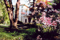 Foto giardino Palazzo Cisterna.jpg - {Foto giardino Palazzo Cisterna.jpg} - [85671]