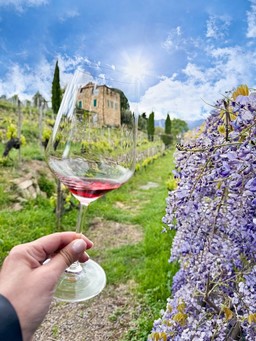 5.Dolceacqua_a.jpg - {5.Dolceacqua_a.jpg} - [85855]