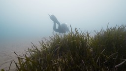 GeoScape_fondale Laigueglia.jpg - {GeoScape_fondale Laigueglia.jpg} - [86035]