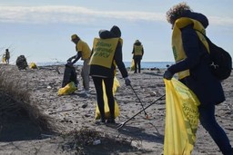 pulizia-spiaggia.jpg - {pulizia-spiaggia.jpg} - [86051]