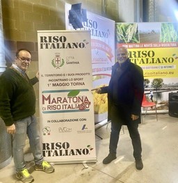 Maratona del riso.jpg - {Maratona del riso.jpg} - [86454]